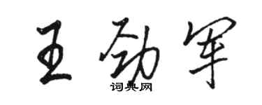 骆恒光王劲军行书个性签名怎么写