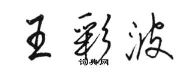 骆恒光王彩波行书个性签名怎么写