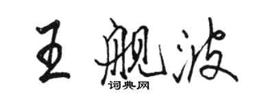 骆恒光王舰波行书个性签名怎么写