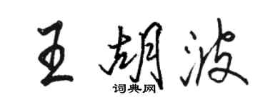 骆恒光王胡波行书个性签名怎么写