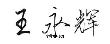骆恒光王永辉行书个性签名怎么写