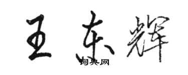 骆恒光王东辉行书个性签名怎么写
