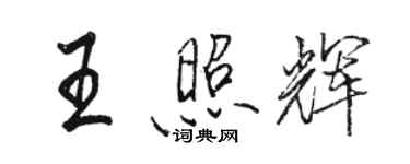 骆恒光王照辉行书个性签名怎么写