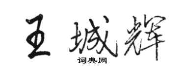 骆恒光王城辉行书个性签名怎么写