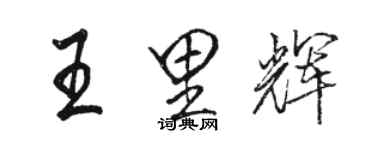 骆恒光王里辉行书个性签名怎么写