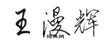 骆恒光王漫辉行书个性签名怎么写