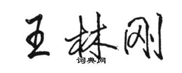 骆恒光王林刚行书个性签名怎么写