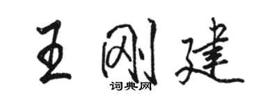 骆恒光王刚建行书个性签名怎么写