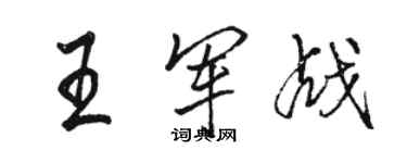 骆恒光王军战行书个性签名怎么写