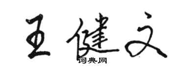 骆恒光王健文行书个性签名怎么写