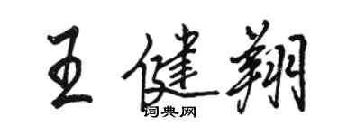 骆恒光王健翔行书个性签名怎么写