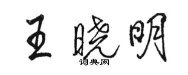 骆恒光王晓明行书个性签名怎么写