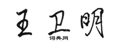 骆恒光王卫明行书个性签名怎么写