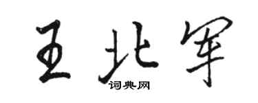 骆恒光王北军行书个性签名怎么写