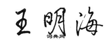 骆恒光王明海行书个性签名怎么写