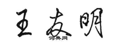 骆恒光王友明行书个性签名怎么写