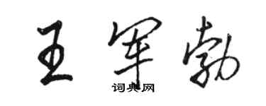 骆恒光王军勃行书个性签名怎么写