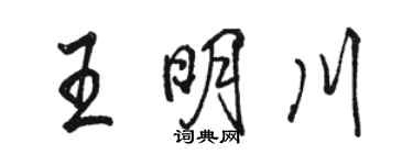 骆恒光王明川行书个性签名怎么写