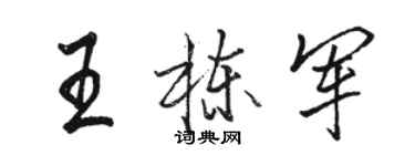 骆恒光王栋军行书个性签名怎么写