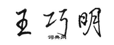 骆恒光王巧明行书个性签名怎么写