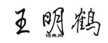 骆恒光王明鹤行书个性签名怎么写