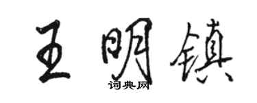 骆恒光王明镇行书个性签名怎么写