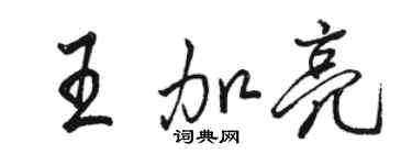 骆恒光王加亮行书个性签名怎么写