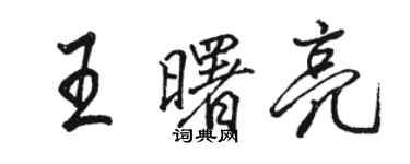 骆恒光王曙亮行书个性签名怎么写