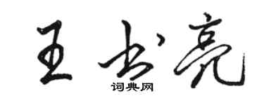 骆恒光王书亮行书个性签名怎么写