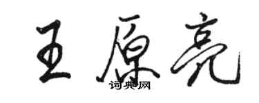 骆恒光王原亮行书个性签名怎么写