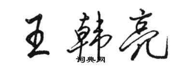 骆恒光王韩亮行书个性签名怎么写