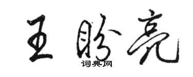 骆恒光王盼亮行书个性签名怎么写