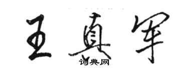 骆恒光王真军行书个性签名怎么写