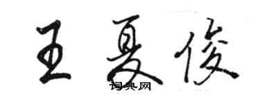 骆恒光王夏俊行书个性签名怎么写