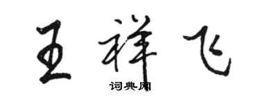 骆恒光王祥飞行书个性签名怎么写