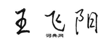 骆恒光王飞阳行书个性签名怎么写
