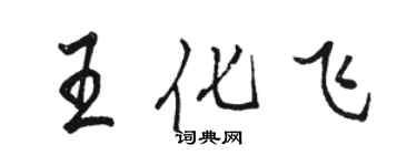 骆恒光王化飞行书个性签名怎么写