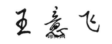 骆恒光王意飞行书个性签名怎么写