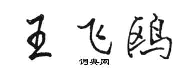 骆恒光王飞鸥行书个性签名怎么写