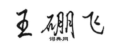 骆恒光王硼飞行书个性签名怎么写