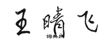 骆恒光王晴飞行书个性签名怎么写