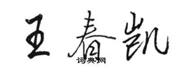 骆恒光王春凯行书个性签名怎么写