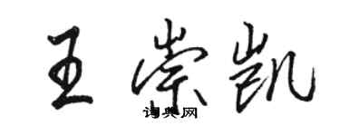 骆恒光王崇凯行书个性签名怎么写