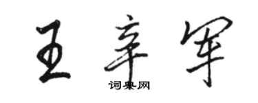 骆恒光王辛军行书个性签名怎么写