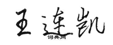 骆恒光王连凯行书个性签名怎么写