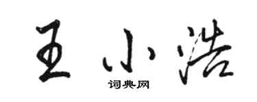 骆恒光王小浩行书个性签名怎么写