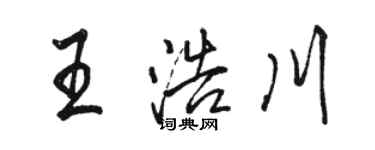骆恒光王浩川行书个性签名怎么写