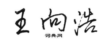 骆恒光王向浩行书个性签名怎么写