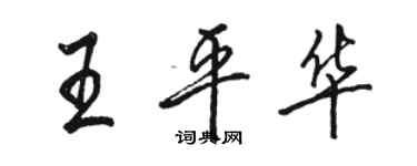 骆恒光王平华行书个性签名怎么写