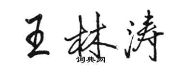 骆恒光王林涛行书个性签名怎么写